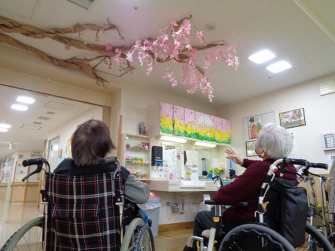 　　　きれいねぇ・・・。お部屋でお花見が出来ます！