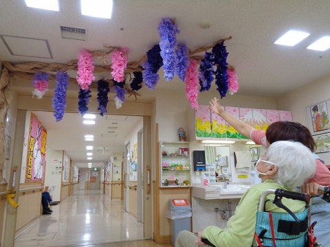 不思議な不思議な田柄の木・・・藤の花が咲きました！