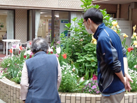 　　花壇お花を見て回ります！