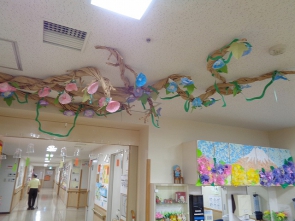 色とりどりの朝顔♪