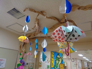 素敵な梅雨の景色♪