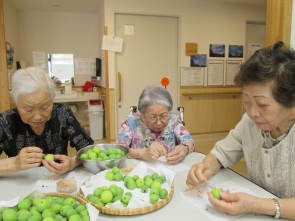 梅のへた取り奮闘中