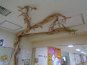 ピンクのつぼみをつけています。
