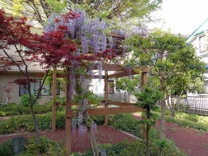 癒される空間・・・