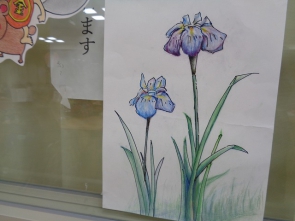 　　О様が書いた菖蒲です！