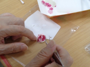 細かな作業も丁寧に！