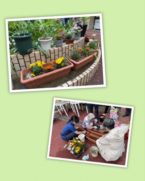 職員と皆さんで協力して植え替えました✿