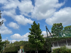 夏の空から秋の空へ