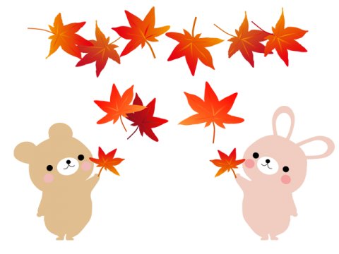 紅葉のきれいな季節になりました