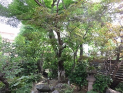 庭樹園の日本庭園