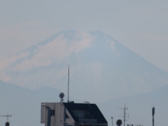 富士山