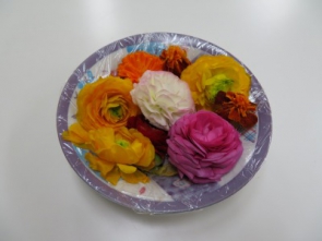 庭の花